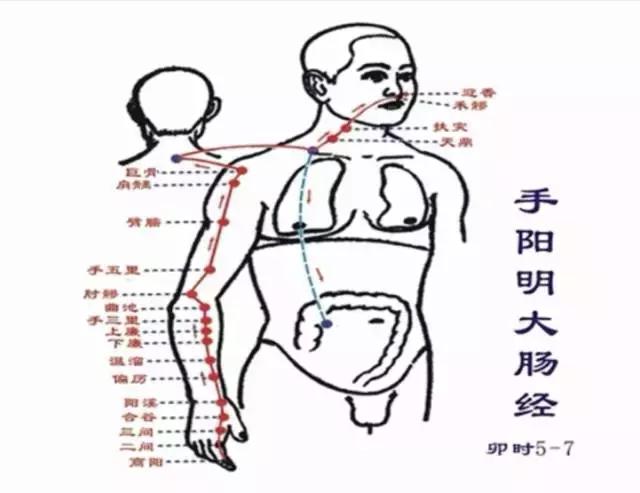 從零學經絡| 怎麼自己動手解決感冒發燒、咳喘、便秘腹瀉等問題