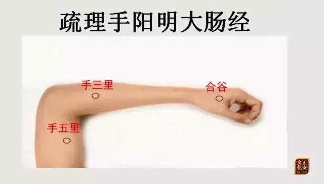 從零學經絡| 怎麼自己動手解決感冒發燒、咳喘、便秘腹瀉等問題