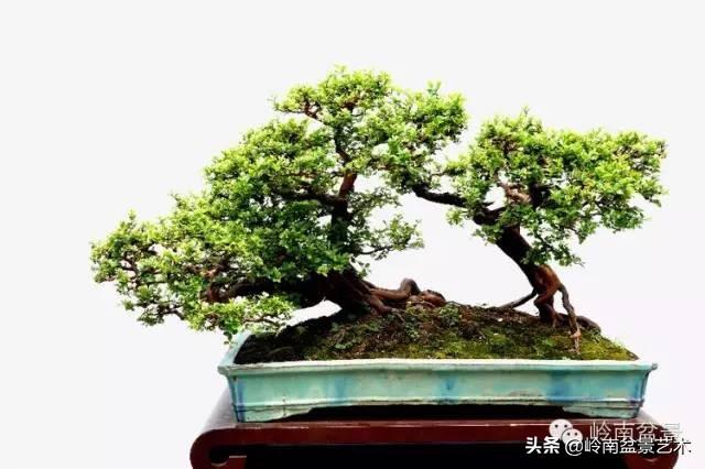 越是大師作品越講究章法嚴謹，看起來更舒暢自然
