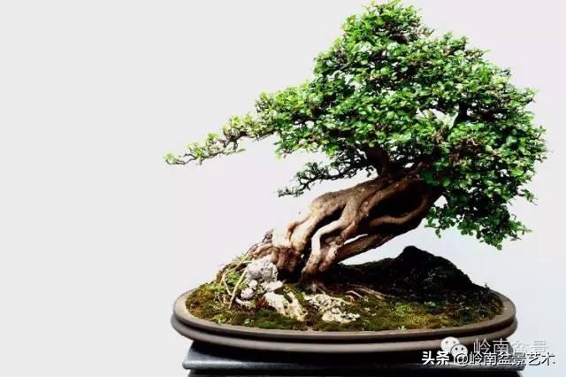 越是大師作品越講究章法嚴謹，看起來更舒暢自然