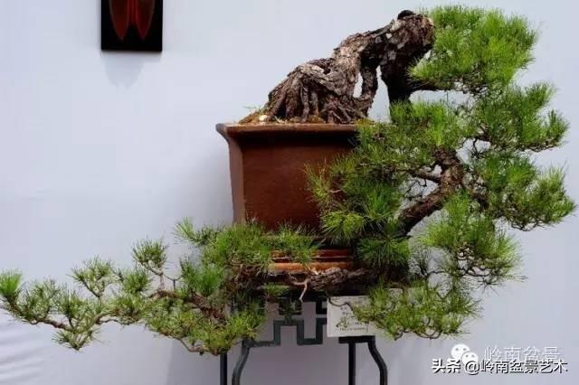 越是大師作品越講究章法嚴謹，看起來更舒暢自然