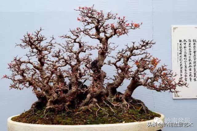 越是大師作品越講究章法嚴謹，看起來更舒暢自然