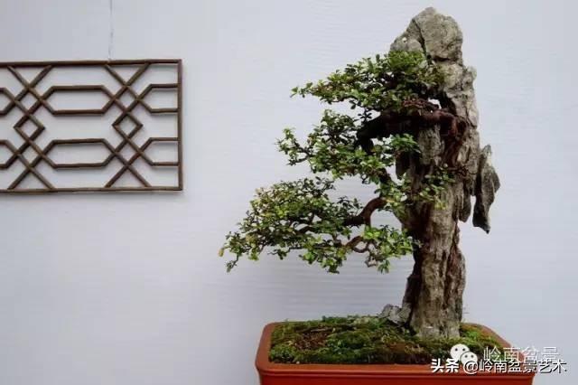 越是大師作品越講究章法嚴謹，看起來更舒暢自然
