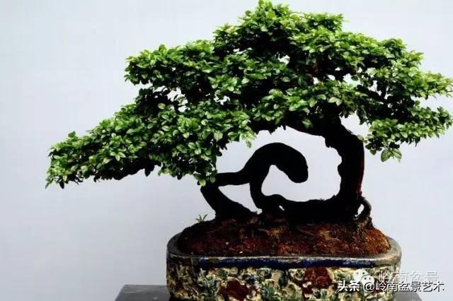 越是大師作品越講究章法嚴謹，看起來更舒暢自然