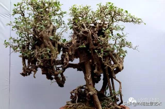 越是大師作品越講究章法嚴謹，看起來更舒暢自然