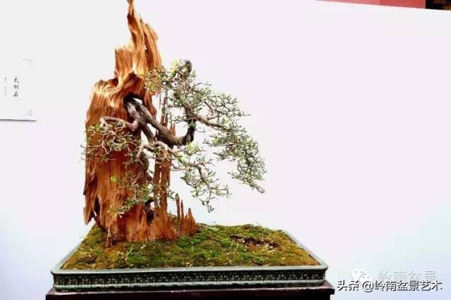 越是大師作品越講究章法嚴謹，看起來更舒暢自然
