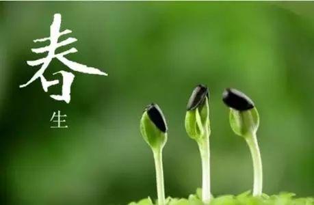 春季常吃4種青色食物，護肝降壓效果好，你都吃了嗎？