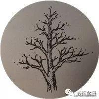 頂上功夫丨最常見的八種盆景結頂方式