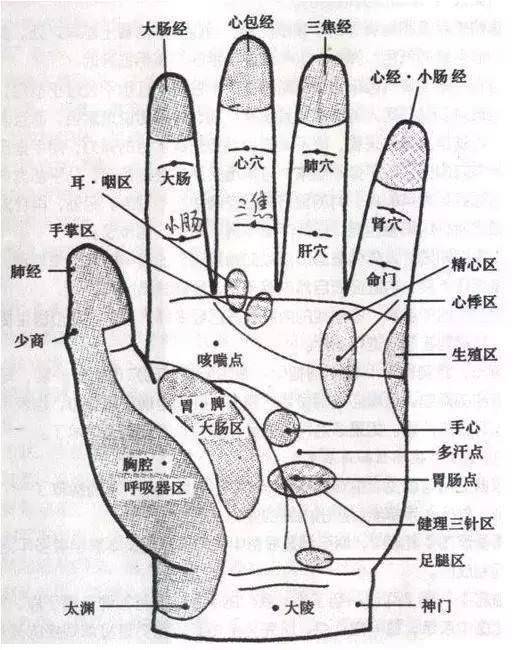 每天按摩小拇指50次，堅持一段時間，腰不疼、腿不酸，連頭髮也烏黑了，不用去染髮