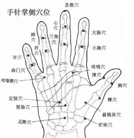 每天按摩小拇指50次，堅持一段時間，腰不疼、腿不酸，連頭髮也烏黑了，不用去染髮