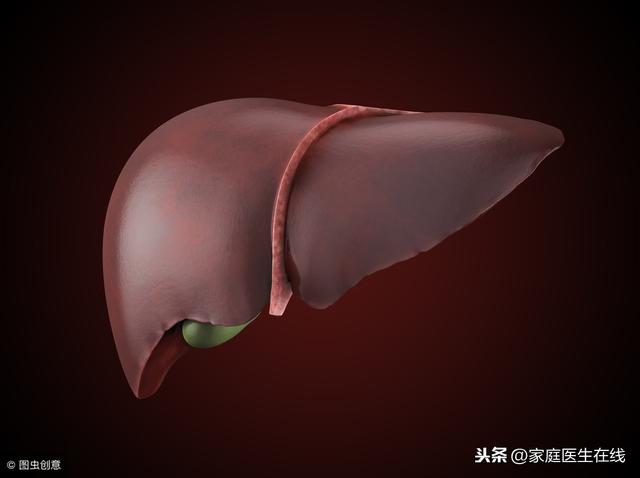 臟器上火了怎麼辦？4個不同部位，要用不同的食物來「滅火」