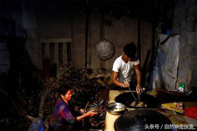 兒子回老家給母親上墳，發現一旁多了座自己的墳，拜祭後竟救了自己一命