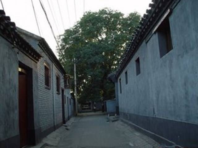 婚後三年沒有回老家，元宵節帶妻子回去團聚，推開門我淚目