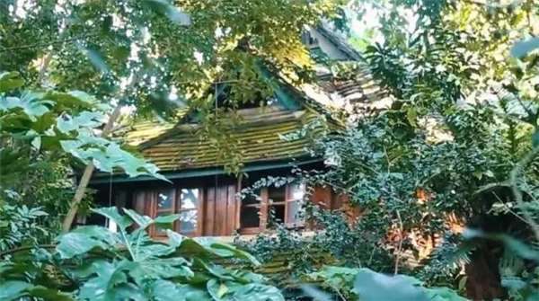 德國男人和中國女子生下女兒隱居　從零開始再造「1331萬坪雨林」連LV也注意到 