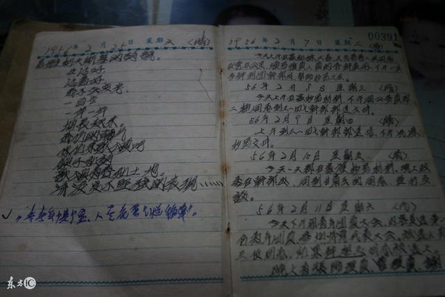 照顧外甥五年，而他日記寫到憑什麼舅舅那麼有錢，真希望他能病死