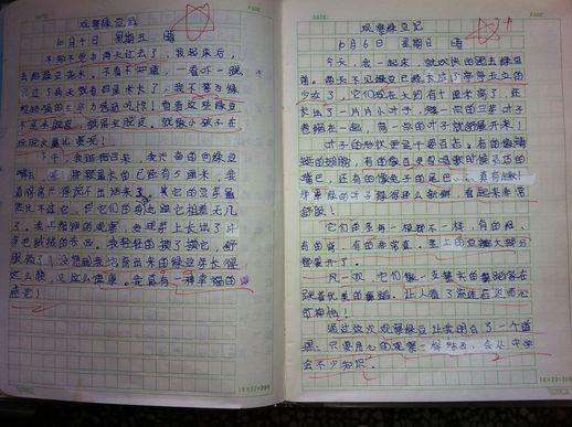 照顧外甥五年，而他日記寫到憑什麼舅舅那麼有錢，真希望他能病死