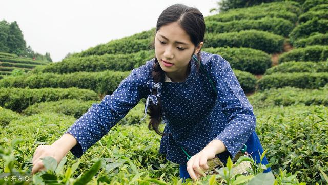 婆婆平時偏向女兒處處為難兒媳，一場大病，婆婆卻傻了眼