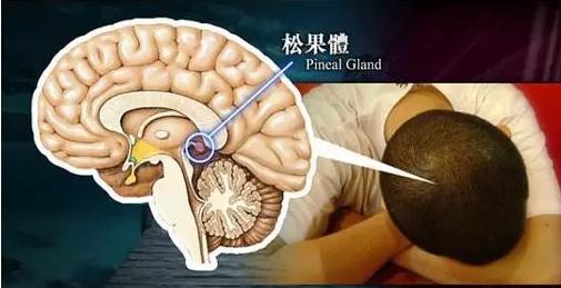 育兒健康：開燈睡對寶寶危害竟這麼大！近視、性早熟、長不高…… - 每日頭條