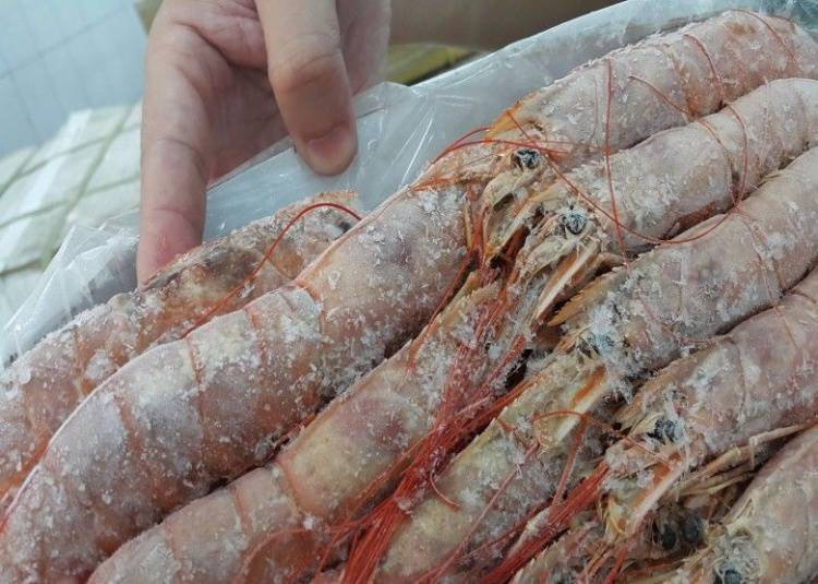 蝦子活跳跳都假的？傳不肖業者端出「黑心活蝦料理」　彌留老蝦10秒「瞬間活過來」被揭發