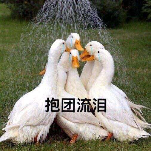 韓網熱議!令人感嘆的EXO保鏢們~還缺人嗎？我可以!