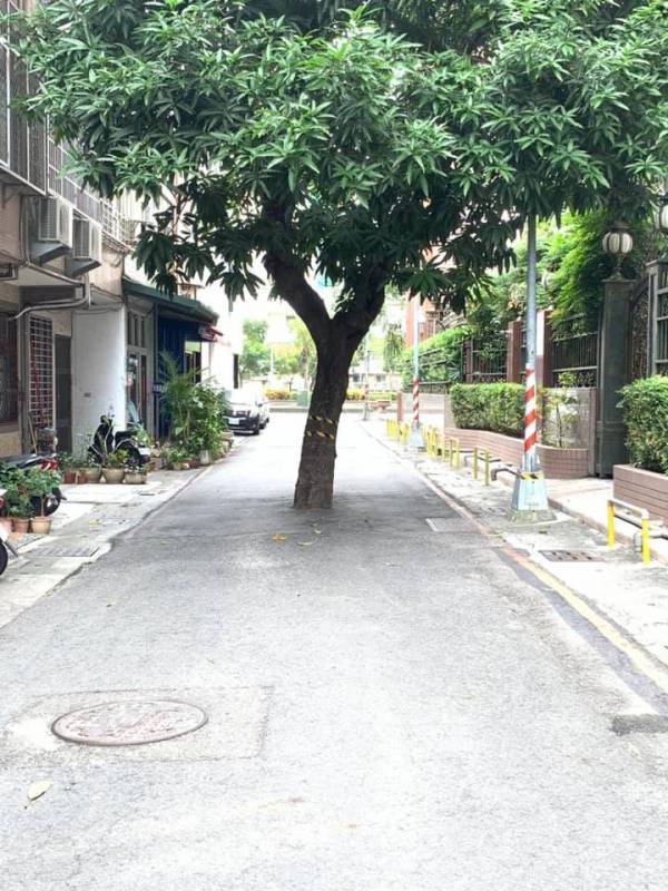 最貴路霸！高雄大樹「擋路中間20年」誰也趕不走　打電話報警「被告知要4千萬」網驚：後台很硬