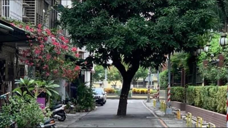 最貴路霸！高雄大樹「擋路中間20年」誰也趕不走　打電話報警「被告知要4千萬」網驚：後台很硬