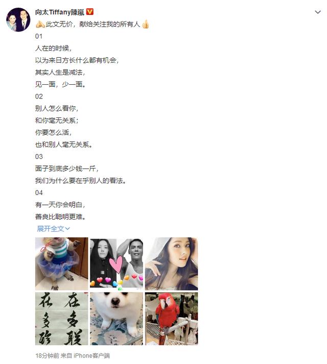 向太正式官宣兒子戀情！曬郭碧婷美照承認她是兒媳！