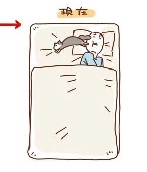 浪貓收編後「90天睡眠日記」　躲在角落發抖→搶奴才枕頭　結局好暖♥