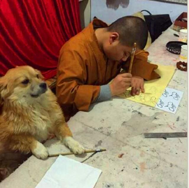 僧人救助撿到的瘸腿流浪狗，一起相依為命生活，還教導狗狗寫字