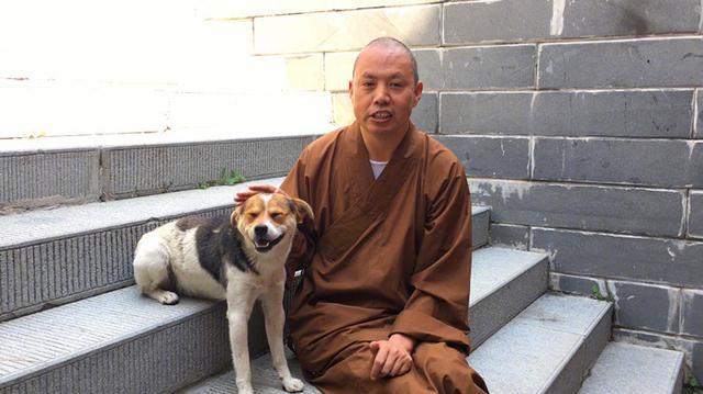 僧人救助撿到的瘸腿流浪狗，一起相依為命生活，還教導狗狗寫字
