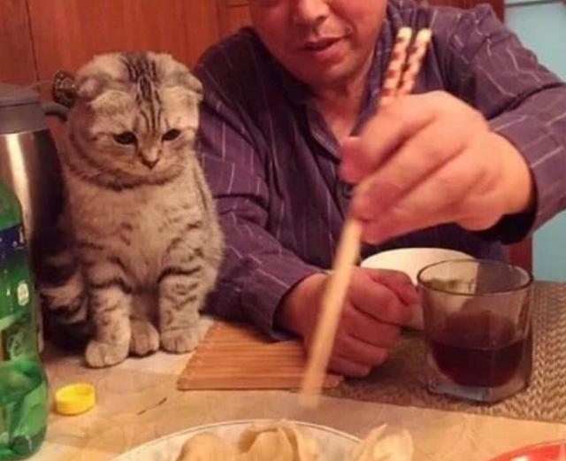 死活不讓養寵物的爸媽養了寵物之後大變樣！網友：它才是親生的！
