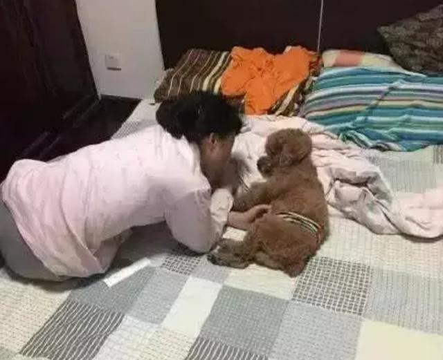 死活不讓養寵物的爸媽養了寵物之後大變樣！網友：它才是親生的！