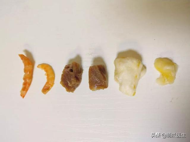 經常給寵物吃零食的注意了，這個不能再餵了！