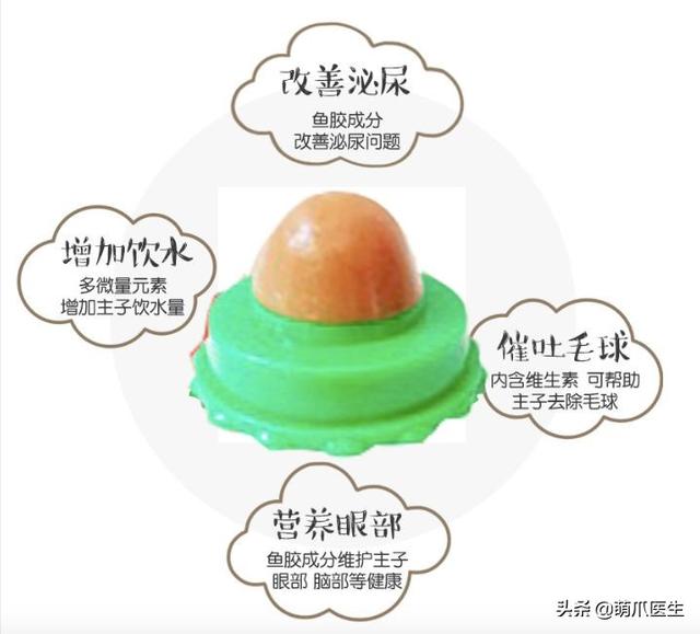 經常給寵物吃零食的注意了，這個不能再餵了！