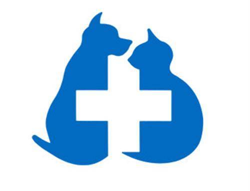 【寵物泌尿問題】：有什麼辦法治貴賓犬尿頻尿急，有什麼辦法治狗狗尿急尿頻