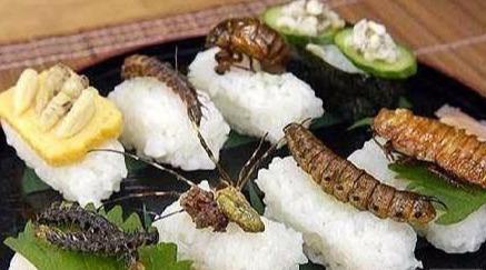 日本「最愛」4種美食，卻讓中國網友最倒胃口，網友：咋吃下去的