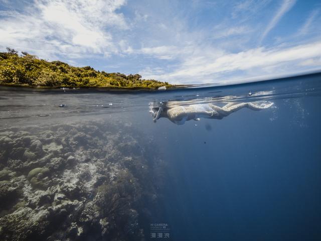 新增的帛琉浮潛景點|我們一覽小沉船！