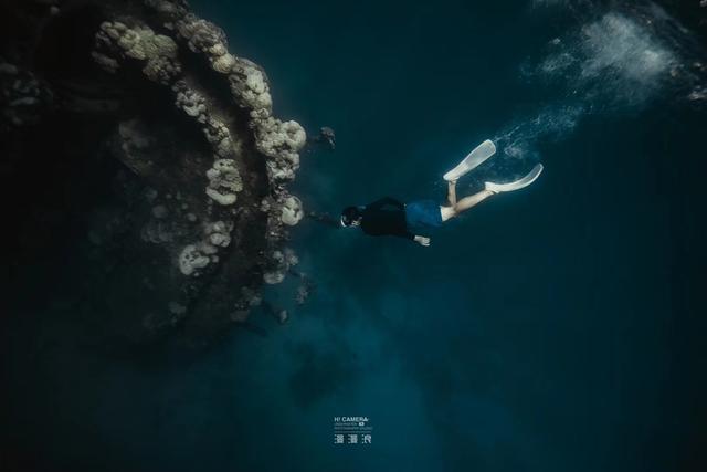 新增的帛琉浮潛景點|我們一覽小沉船！
