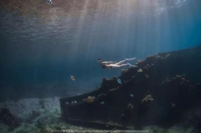 新增的帛琉浮潛景點|我們一覽小沉船！