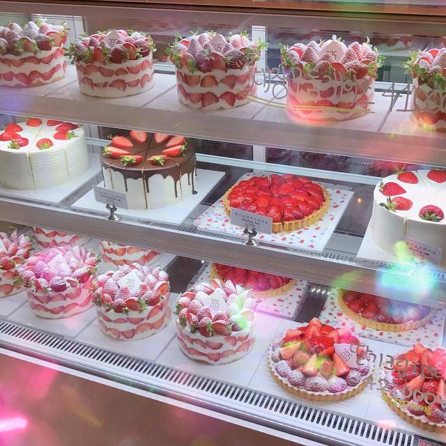 這家韓國蛋糕店，只賣一種蛋糕就做成了生意火爆的網紅店！