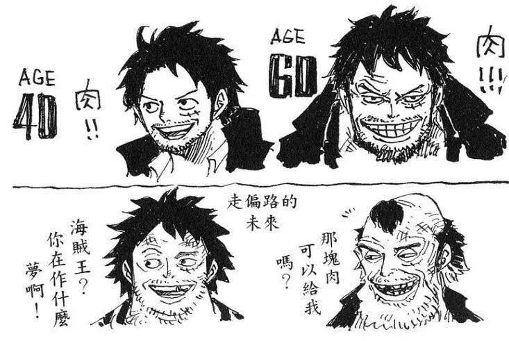 《海賊王》各人物老年形象曝光，60歲的娜美比大媽還丑！