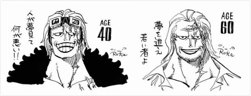 《海賊王》各人物老年形象曝光，60歲的娜美比大媽還丑！