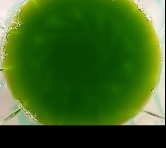 1把菠菜，3個雞蛋，攪一攪，蒸一蒸，口感鮮嫩，營養豐富，老人孩子都愛吃！