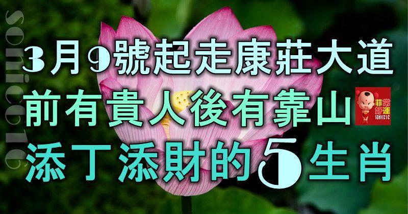 3月9號起走康莊大道，前有貴人後有靠山，添丁添財的5大生肖！