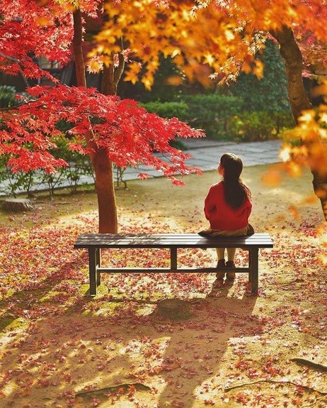 把兒女拍成「宮崎駿角色」　日攝影師讓上萬女粉都感嘆：別人的老公！