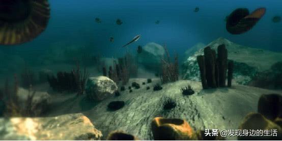 「神奇」，為何剛挖水池時間久了就會長出魚？讓科學家告訴你答案