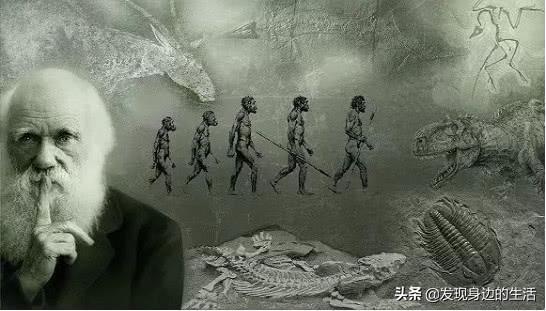 「神奇」，為何剛挖水池時間久了就會長出魚？讓科學家告訴你答案