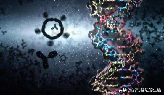「神奇」，為何剛挖水池時間久了就會長出魚？讓科學家告訴你答案
