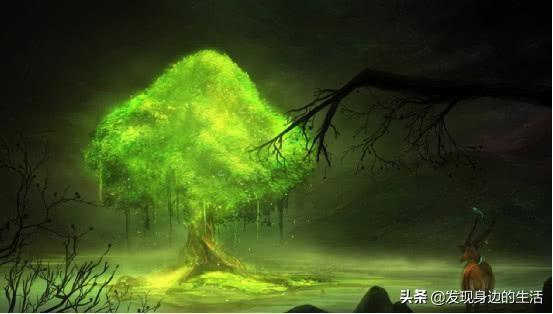 「神奇」，為何剛挖水池時間久了就會長出魚？讓科學家告訴你答案