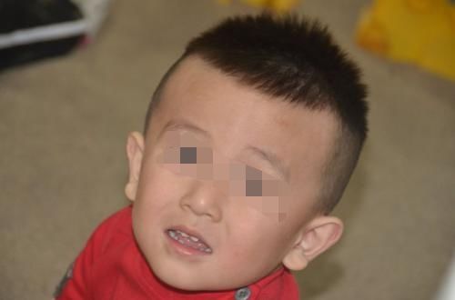  老人進山打傷一條巨蟒，巨蟒斷氣前呼救：爺爺，快刨開肚子!